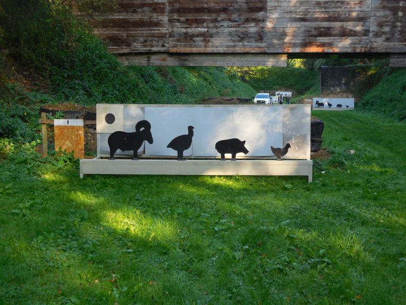Buffalo